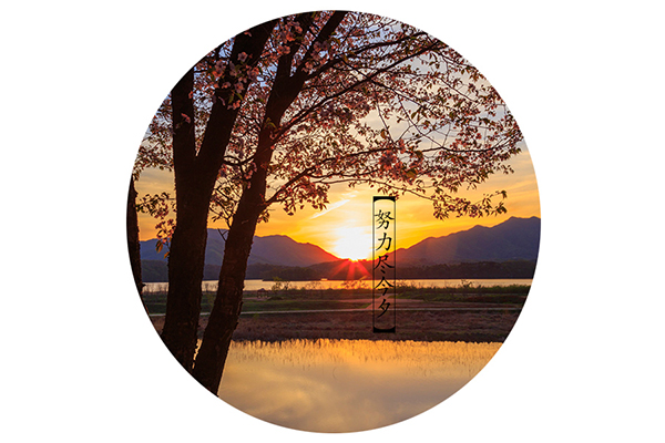 W020180212557950123568.jpg W020180212557950123568.jpg