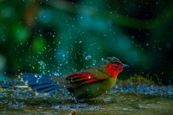戲水浣裳_副本.jpg 戲水浣裳_副本.jpg