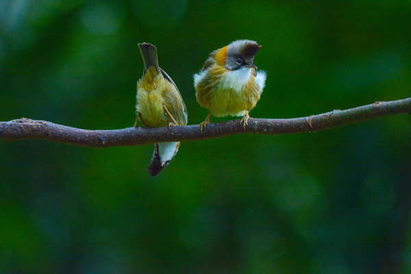 尋根究底_副本.jpg 尋根究底_副本.jpg