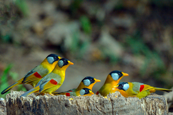 詩和遠方_副本.jpg 詩和遠方_副本.jpg