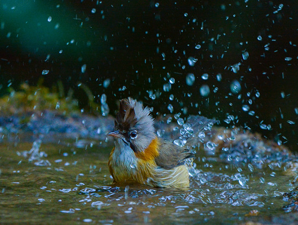 珠環(huán)玉翠_副本.jpg 珠環(huán)玉翠_副本.jpg