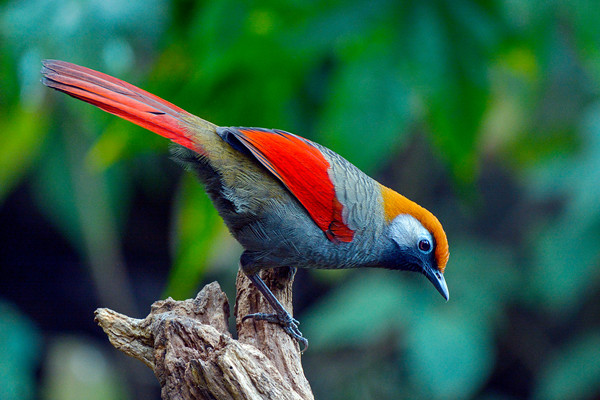 俯瞰天下_副本.jpg 俯瞰天下_副本.jpg