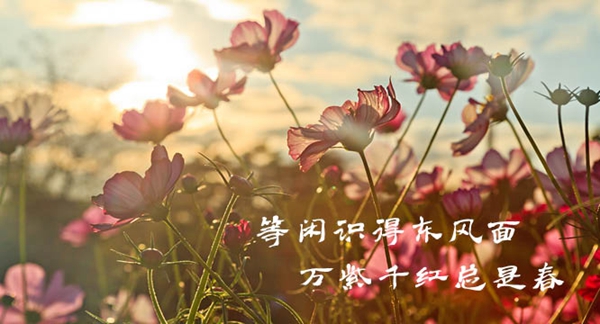 W020180321319534417520.jpg W020180321319534417520.jpg