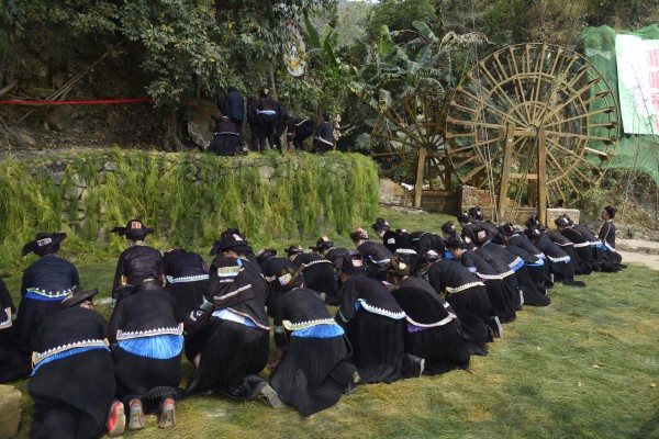 4處龍樹(shù)腳下請(qǐng)?zhí)?yáng)(陳明凱攝).jpg 4處龍樹(shù)腳下請(qǐng)?zhí)?yáng)(陳明凱攝).jpg