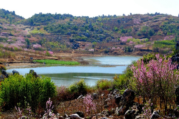 9、春江水暖,陌上花開_副本.jpg 9、春江水暖,陌上花開_副本.jpg