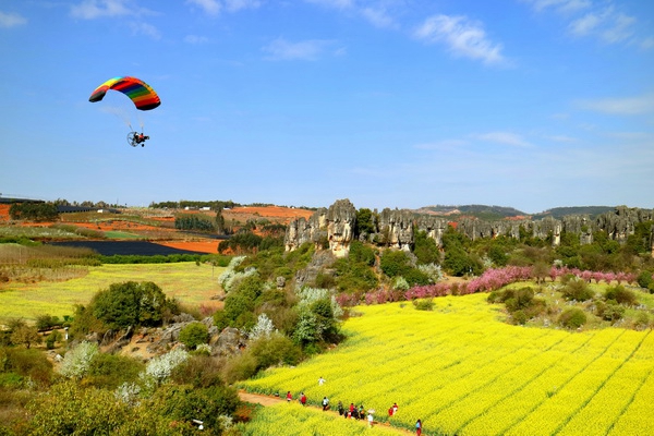 2、灼灼春華,高空盡覽_副本.jpg 2、灼灼春華,高空盡覽_副本.jpg