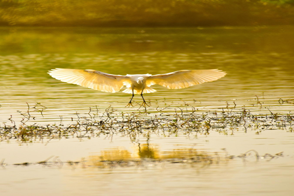 圖片3_副本.png 圖片3_副本.png