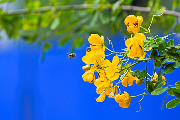 圖片1_副本.png 圖片1_副本.png