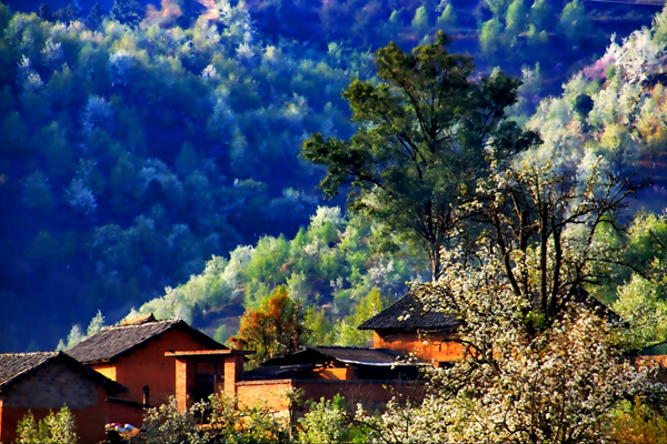 圖片6_副本.png 圖片6_副本.png