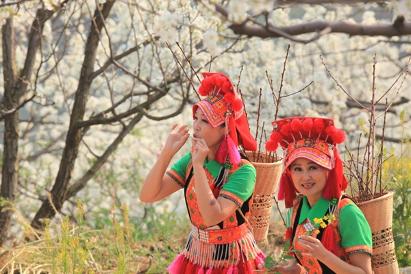 圖片8_副本.png 圖片8_副本.png