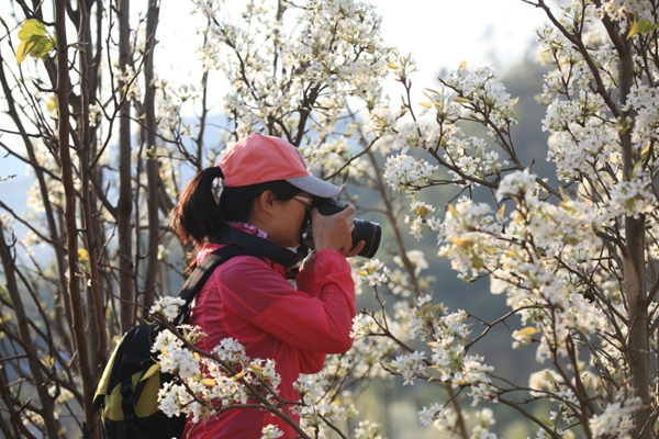 圖片7_副本.png 圖片7_副本.png