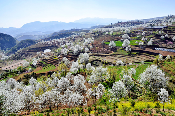 圖片2_副本.png 圖片2_副本.png