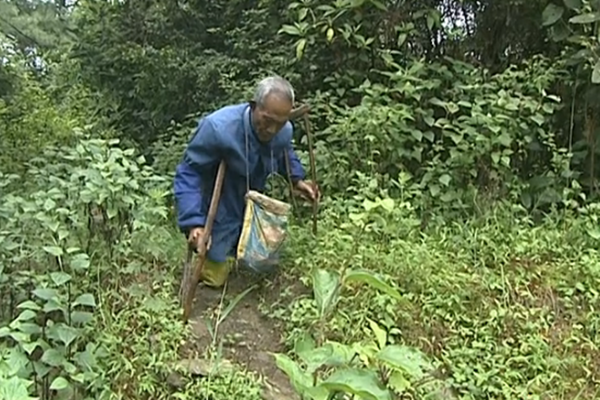 雙腿高位截肢的楊廷相老人不改初心，始終熱愛著這自己守護(hù)的這片山林_副本.png