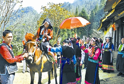 res01_attpic_brief.jpg res01_attpic_brief.jpg