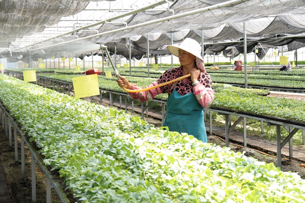 IMG_1148_副本.jpg IMG_1148_副本.jpg