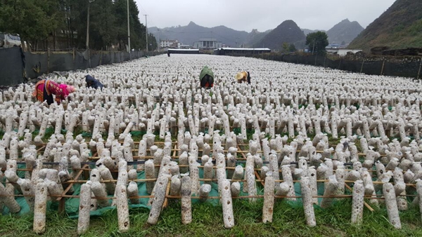 10_副本.jpg 10_副本.jpg