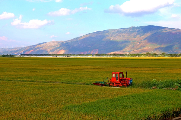 2_副本.jpg 2_副本.jpg