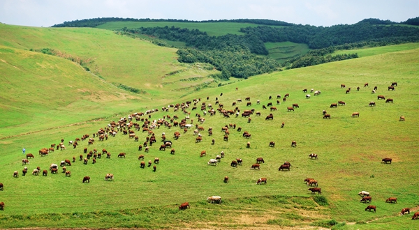 8_副本.jpg 8_副本.jpg