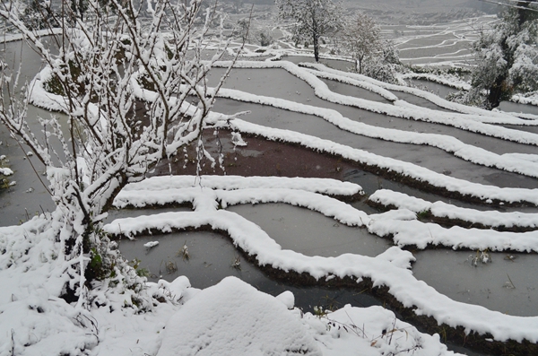 圖15:銀裝素裹_副本.jpg 圖15:銀裝素裹_副本.jpg