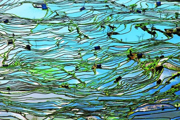 圖4:大地旋律_副本.jpg 圖4:大地旋律_副本.jpg