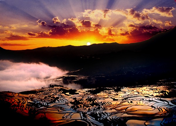 圖3:金光燦爛_副本.jpg 圖3:金光燦爛_副本.jpg