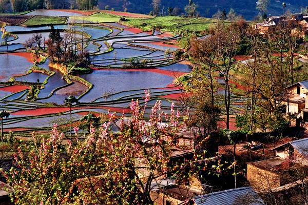 圖6:如詩如畫_副本.jpg 圖6:如詩如畫_副本.jpg