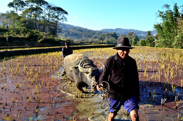 圖:14耕耘希望_副本.jpg 圖:14耕耘希望_副本.jpg