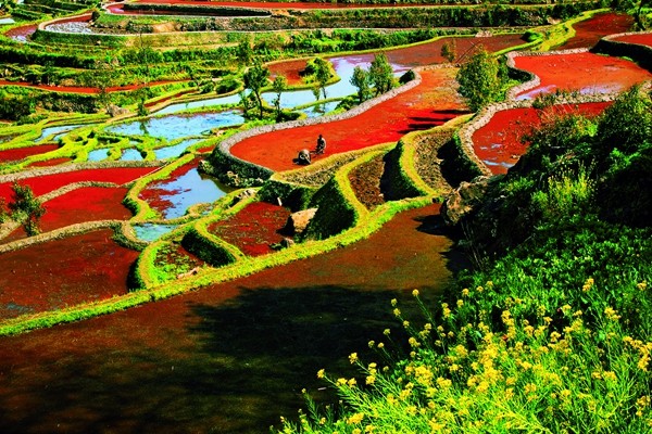 圖7:五彩梯田_副本_副本.jpg 圖7:五彩梯田_副本_副本.jpg