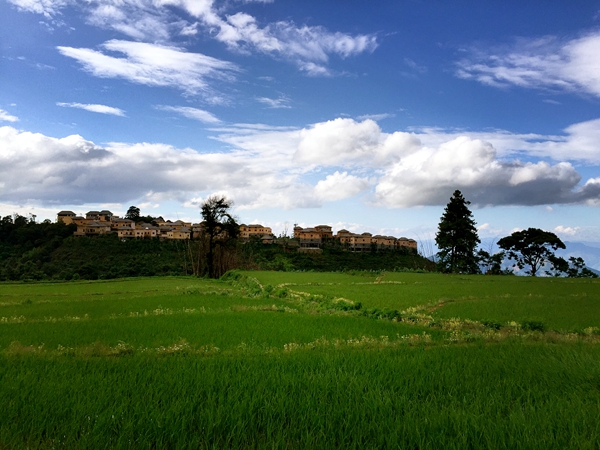 圖9:夏日梯田_副本.jpg 圖9:夏日梯田_副本.jpg