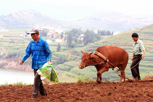 原圖——【紀檢人·鏡頭】谷雨_副本.jpg 原圖——【紀檢人·鏡頭】谷雨_副本.jpg