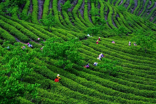 2_副本.jpg 2_副本.jpg