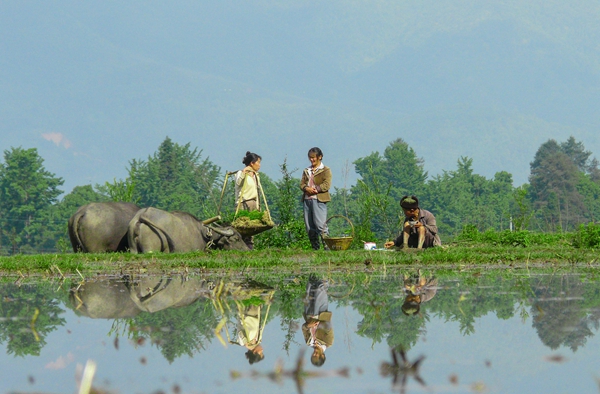 QQ圖片20180418112958_副本.jpg QQ圖片20180418112958_副本.jpg