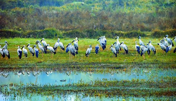 4_副本.jpg 4_副本.jpg