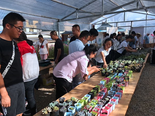 9_副本.jpg 9_副本.jpg