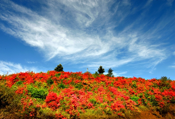 原圖【紀(jì)檢人·鏡頭】立夏+云南省富源縣紀(jì)委縣監(jiān)委_副本.jpg 原圖【紀(jì)檢人·鏡頭】立夏+云南省富源縣紀(jì)委縣監(jiān)委_副本.jpg