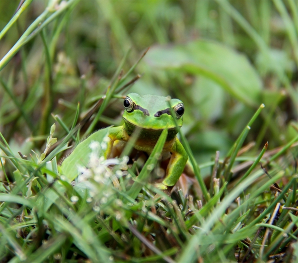 6_副本.jpg 6_副本.jpg