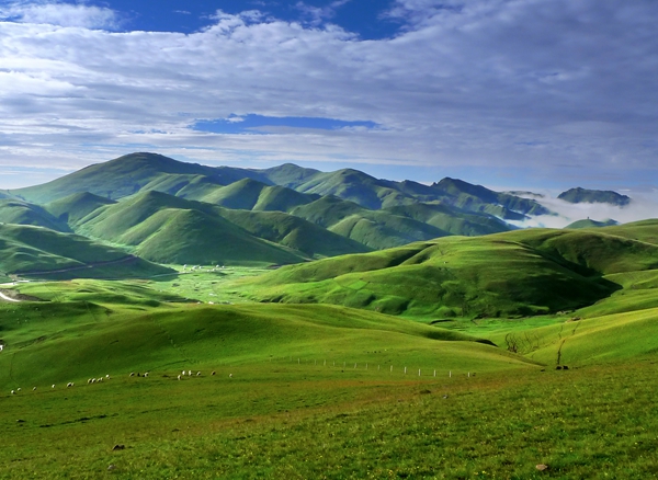 4_副本.jpg 4_副本.jpg