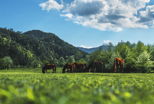 8_副本.jpg 8_副本.jpg