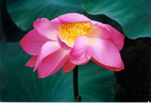 7_副本.jpg 7_副本.jpg