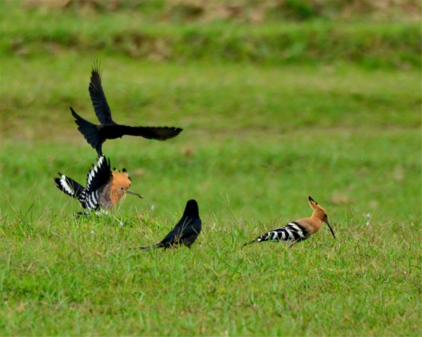 13_副本.jpg 13_副本.jpg