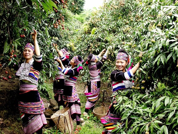 3_副本.jpg 3_副本.jpg