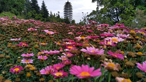 12_副本.jpg 12_副本.jpg