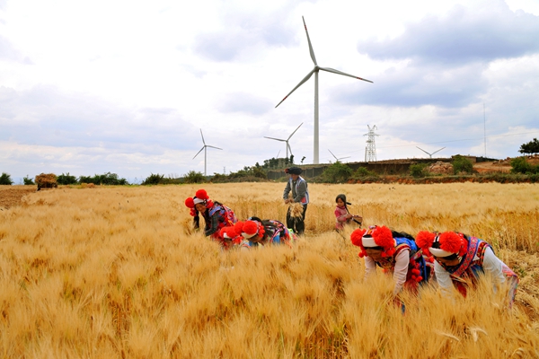 5_副本.jpg 5_副本.jpg