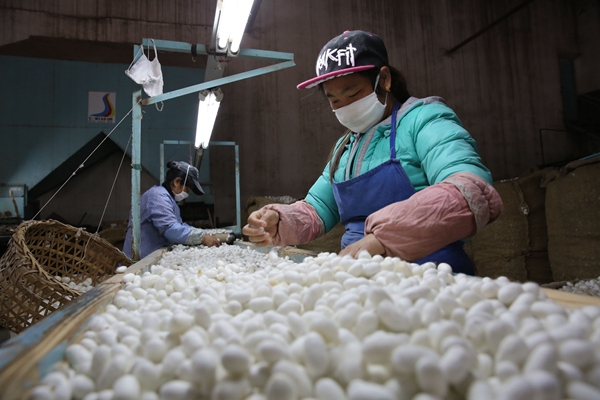 6_副本.jpg 6_副本.jpg