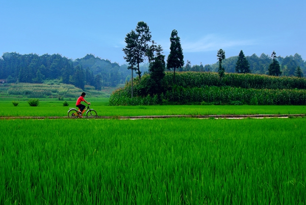 4_副本.jpg 4_副本.jpg