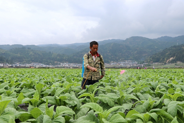 2_副本.jpg 2_副本.jpg