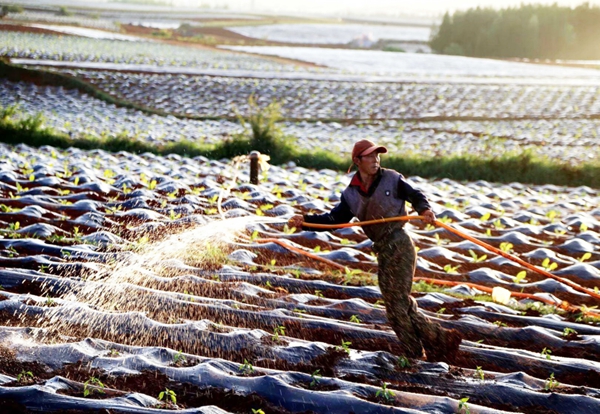 圖片1_副本.jpg 圖片1_副本.jpg