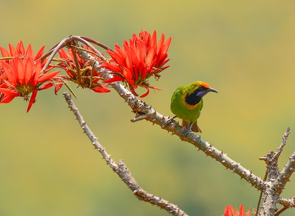 4 (2)_副本.jpg 4 (2)_副本.jpg