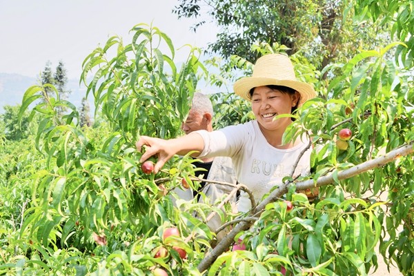 3_副本.jpg 3_副本.jpg