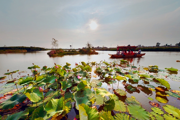 6_副本.jpg 6_副本.jpg